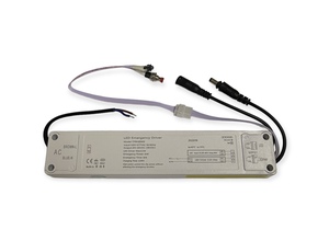 TPB12EM3 - 3hr Maintained 4W Li-on Battery